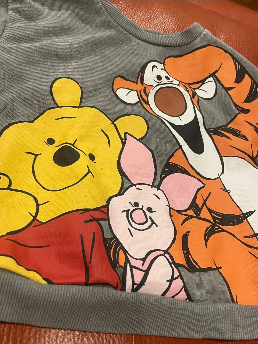 Disney Gray & Yellow Winnie the Pooh Set with Tigger, Piglet & Eeyore